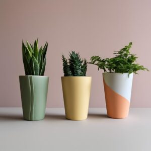 Vasos de planta